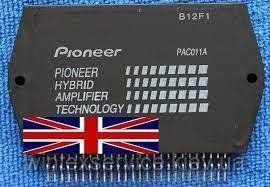 Гібридна іс Pioneer PAC011A ДК - 24 фото